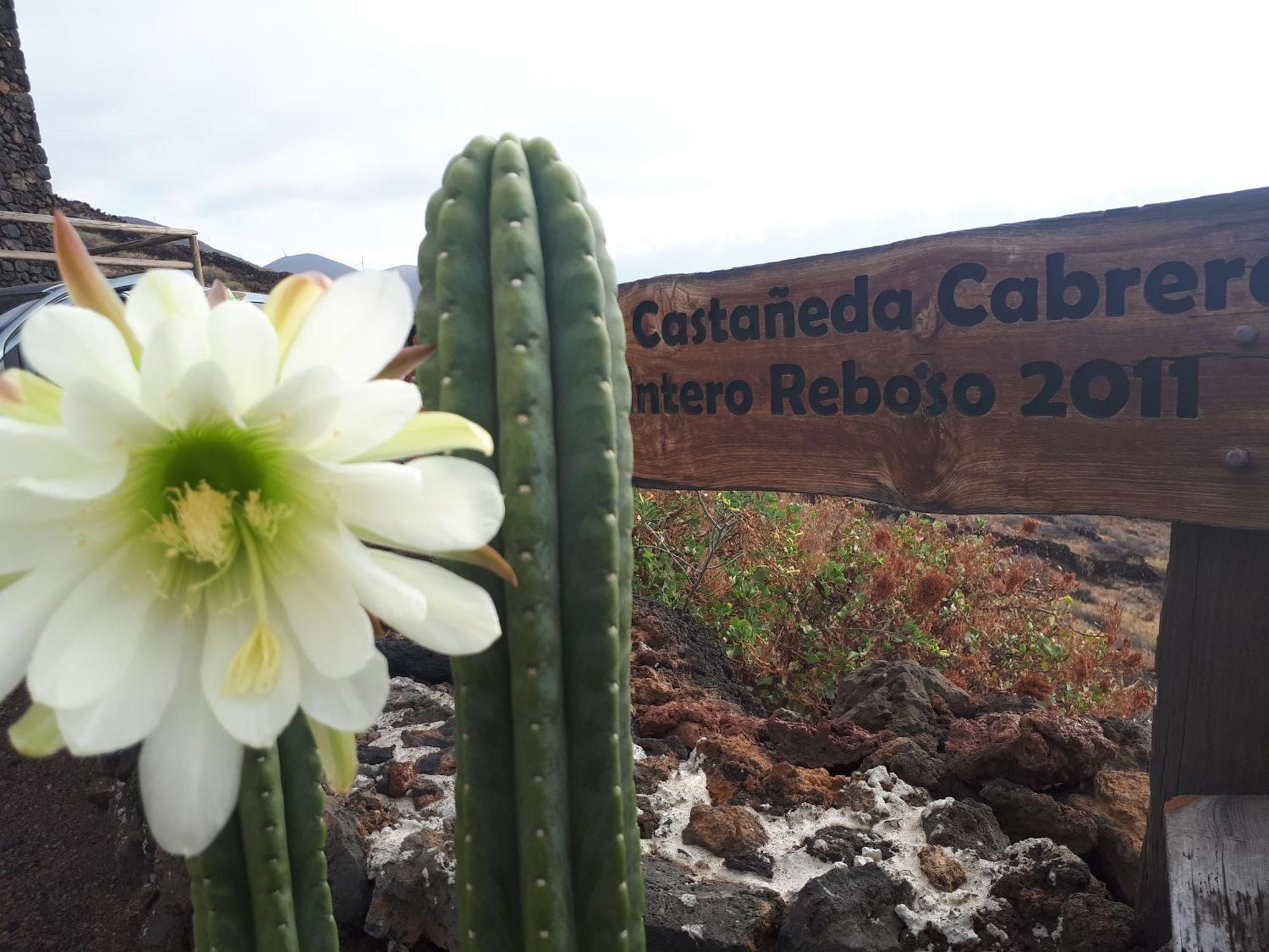 Pajero Las Cadenas บัลแบร์เด ภายนอก รูปภาพ
